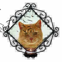 Pretty Ginger Cat Wrought Iron Wall Art Candle Holder