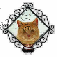 Pretty Ginger Cat Wrought Iron Wall Art Candle Holder