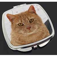 Pretty Ginger Cat Make-Up Compact Mirror