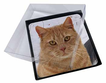 4x Pretty Ginger Cat Picture Table Coasters Set in Gift Box