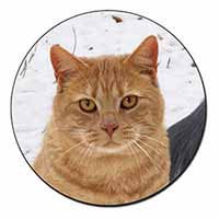 Pretty Ginger Cat Fridge Magnet Printed Full Colour