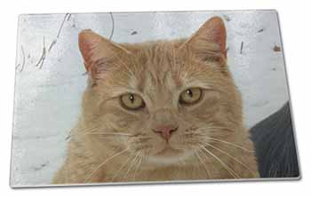 Large Glass Cutting Chopping Board Pretty Ginger Cat