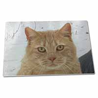 Large Glass Cutting Chopping Board Pretty Ginger Cat