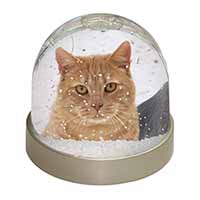 Pretty Ginger Cat Snow Globe Photo Waterball