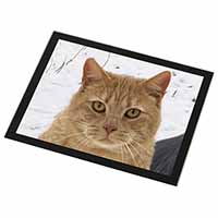 Pretty Ginger Cat Black Rim High Quality Glass Placemat