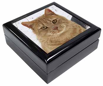 Pretty Ginger Cat Keepsake/Jewellery Box