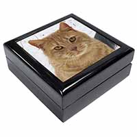Pretty Ginger Cat Keepsake/Jewellery Box