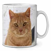 Pretty Ginger Cat Ceramic 10oz Coffee Mug/Tea Cup