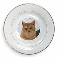 Pretty Ginger Cat Gold Rim Plate Printed Full Colour in Gift Box