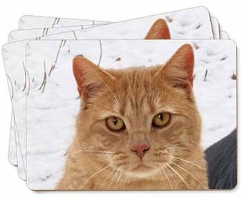 Pretty Ginger Cat Picture Placemats in Gift Box