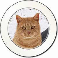 Pretty Ginger Cat Car or Van Permit Holder/Tax Disc Holder