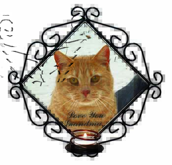 Ginger Cat 