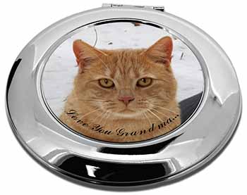 Ginger Cat 