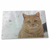 Large Glass Cutting Chopping Board Ginger Cat 