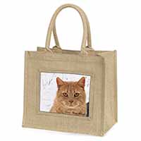 Ginger Cat 