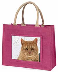 Ginger Cat 