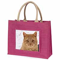 Ginger Cat 