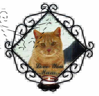 Ginger Cat 