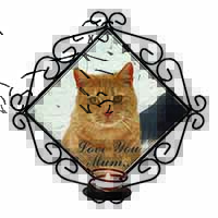 Ginger Cat 