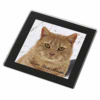 Ginger Cat 