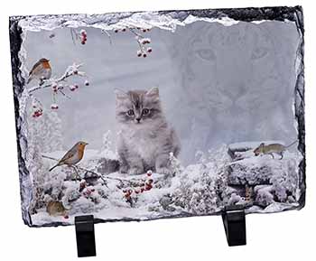 Spirit Cat on Kitten Watch, Stunning Photo Slate