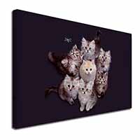 Cute Kittens+Dragonfly Canvas X-Large 30"x20" Wall Art Print