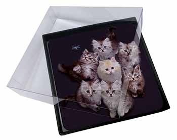 4x Cute Kittens+Dragonfly Picture Table Coasters Set in Gift Box