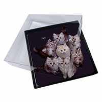 4x Cute Kittens+Dragonfly Picture Table Coasters Set in Gift Box