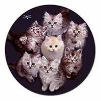Cute Kittens+Dragonfly Fridge Magnet Printed Full Colour