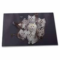 Large Glass Cutting Chopping Board Cute Kittens+Dragonfly
