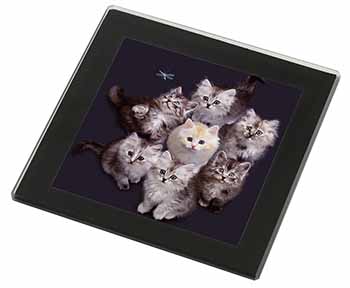 Cute Kittens+Dragonfly Black Rim High Quality Glass Coaster