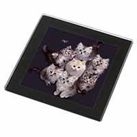 Cute Kittens+Dragonfly Black Rim High Quality Glass Coaster
