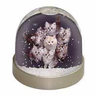 Cute Kittens+Dragonfly Snow Globe Photo Waterball