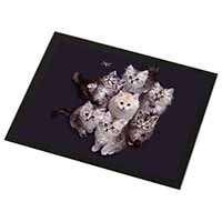 Cute Kittens+Dragonfly Black Rim High Quality Glass Placemat