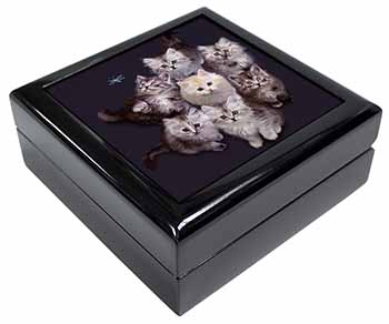 Cute Kittens+Dragonfly Keepsake/Jewellery Box