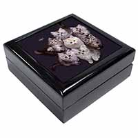 Cute Kittens+Dragonfly Keepsake/Jewellery Box