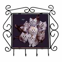 Cute Kittens+Dragonfly Wrought Iron Key Holder Hooks