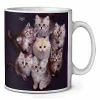 Cute Kittens+Dragonfly Ceramic 10oz Coffee Mug/Tea Cup