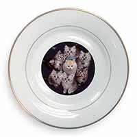 Cute Kittens+Dragonfly Gold Rim Plate Printed Full Colour in Gift Box