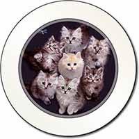 Cute Kittens+Dragonfly Car or Van Permit Holder/Tax Disc Holder