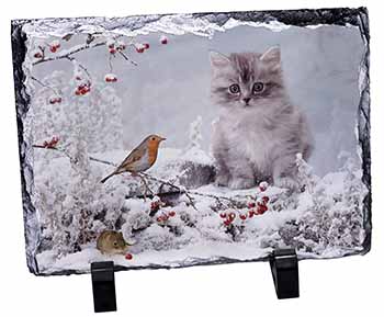 Kitten and Robin in Snow Print, Stunning Photo Slate