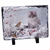Kitten and Robin in Snow Print, Stunning Animal Photo Slate