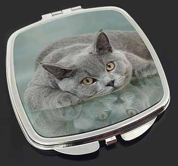 British Blue Cat Laying on Glass Make-Up Compact Mirror