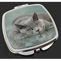 British Blue Cat Laying on Glass Make-Up Compact Mirror