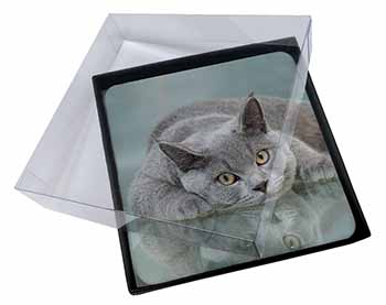 4x British Blue Cat Laying on Glass Picture Table Coasters Set in Gift Box