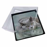 4x British Blue Cat Laying on Glass Picture Table Coasters Set in Gift Box