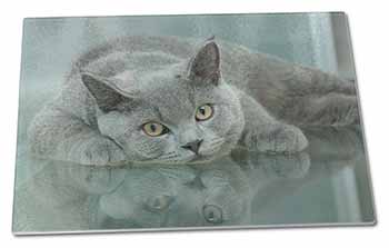 Large Glass Cutting Chopping Board British Blue Cat Laying on Glass