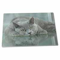 Large Glass Cutting Chopping Board British Blue Cat Laying on Glass