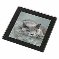 British Blue Cat Laying on Glass Black Rim High Quality Glass Coaster