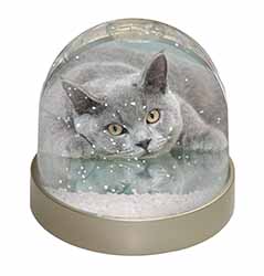 British Blue Cat Laying on Glass Snow Globe Photo Waterball
